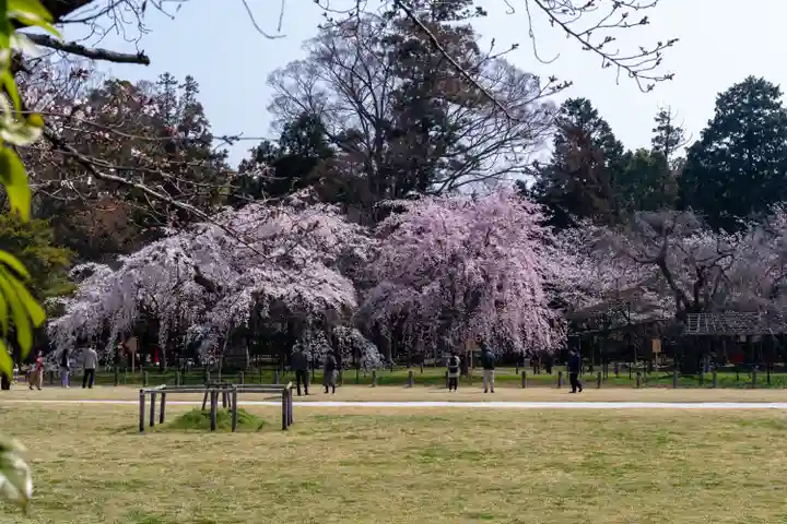 賀茂別雷神社(上賀茂神社)(京都府)