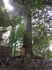 須佐神社の建物その他