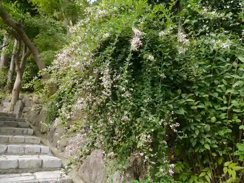 杉本寺の自然