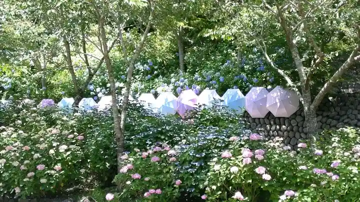 尊永寺(静岡県)