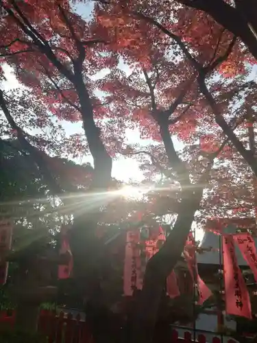紅葉八幡宮のその他建物