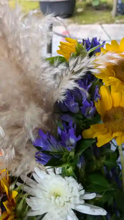 勝林寺(京都府)