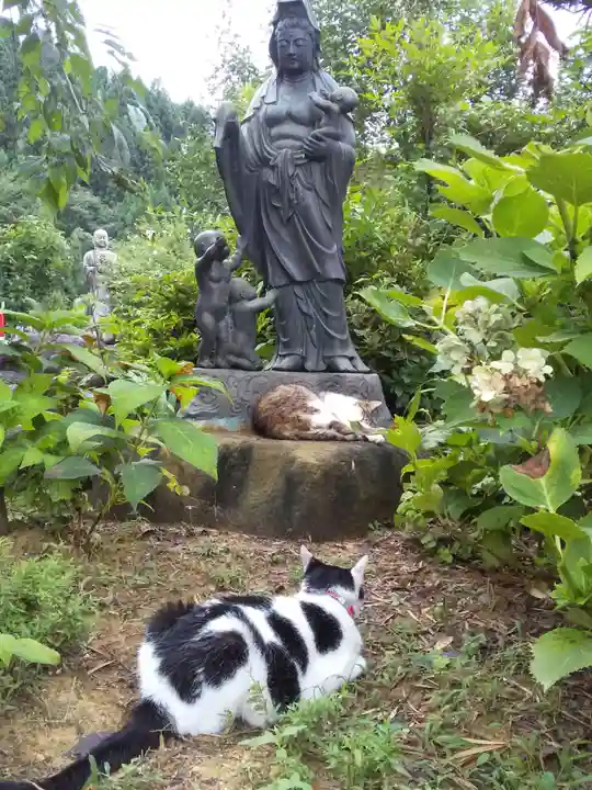 御誕生寺(猫寺)の仏像