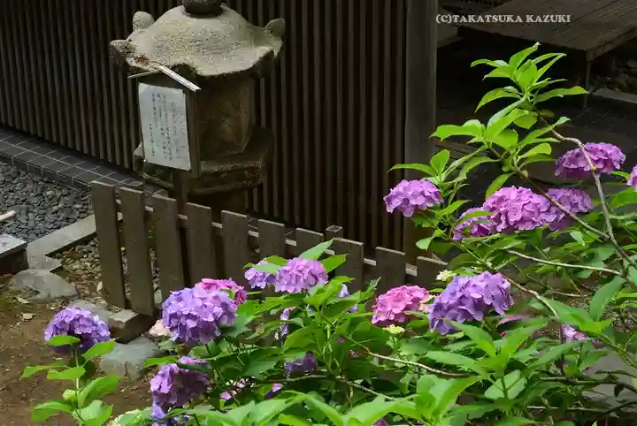 伊勢山皇大神宮(神奈川県)