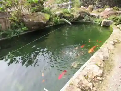 龍珠院(東京都)