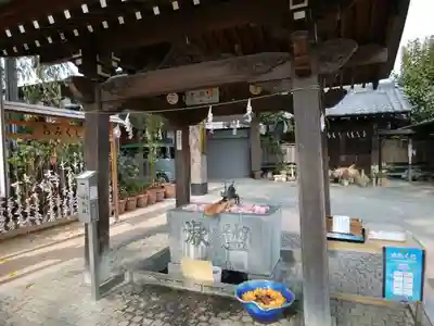 川越八幡宮(埼玉県)