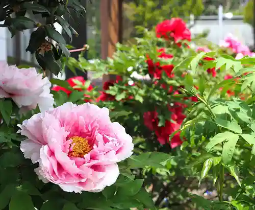 今市報徳二宮神社(栃木県)