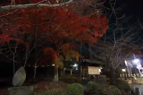 開成山大神宮の鳥居