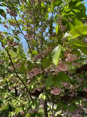 長野縣護國神社(長野県)