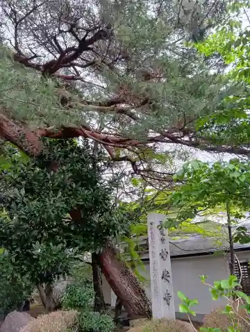 妙安寺の{uncategorized: "未分類", other: "その他", undefined: "問題あり", building: "その他建物", grave: "お墓", sacred_gate: "鳥居", guardian: "狛犬", statue: "像", buddha: "仏像", history: "歴史", nature: "自然", garden: "庭園", animal: "動物", pagoda: "塔", temizu: "手水舎", mountain_gate: "山門・神門", sanctuary: "本殿・本堂", subordinate: "末社・摂社", art: "芸術", scenery: "景色", jizo: "地蔵", ema: "絵馬", goshuin: "御朱印", omikuji: "おみくじ", items: "授与品その他", amulet: "お守り", goshuincho: "御朱印帳", eats: "食事", festival: "お祭り", votive_dance: "神楽", shichigosan: "七五三参", wedding: "結婚式", experience: "体験その他", initially: "初詣", around: "周辺", anti_infection: "感染症対策"}