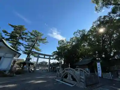 堤治神社(愛知県)