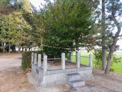 稲荷社（岩根稲荷社）の自然