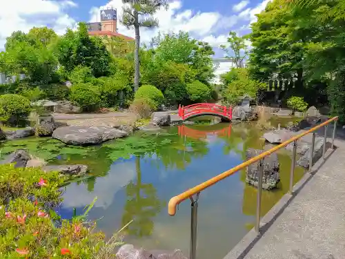 観音寺の庭園