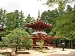 高野山金剛峯寺(和歌山県)