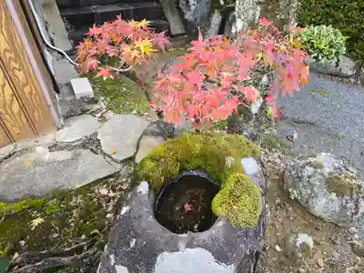 火走神社(大阪府)