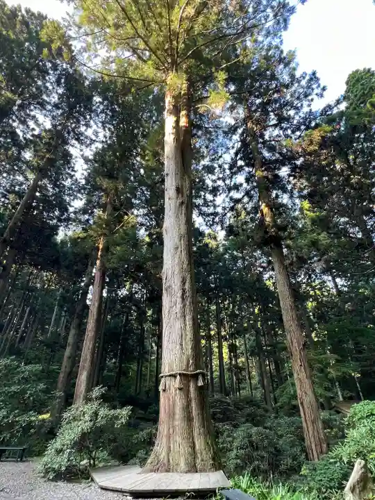 御岩神社(茨城県)
