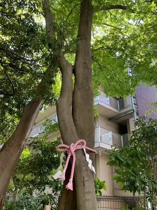伊和志津神社の自然