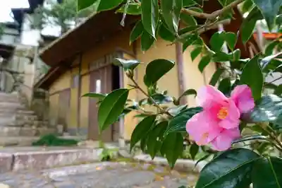 野仏庵のその他建物