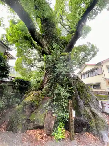五所神社(神奈川県)