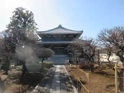 日曜寺(東京都)
