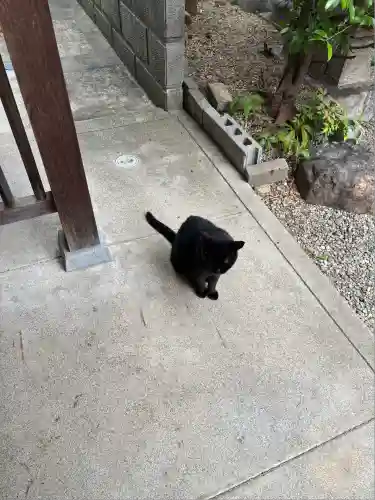 御嶽神社茅萱宮(岐阜県)