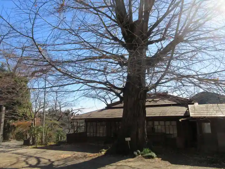 弘法山観世音(埼玉県)