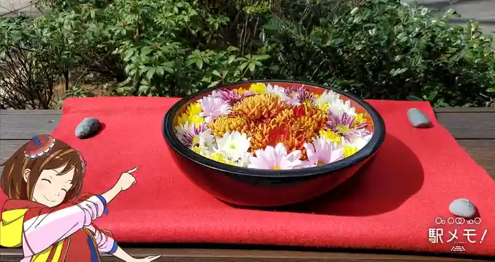 増上寺塔頭 三縁山 宝珠院の手水舎