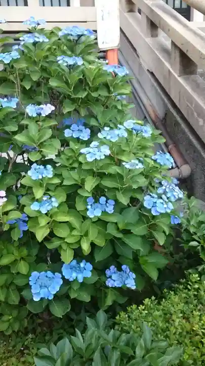 東本願寺(東京都)