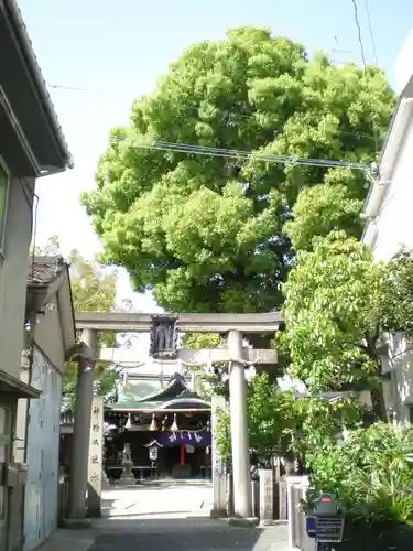 比賣許曾神社の鳥居