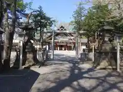 新琴似神社の鳥居