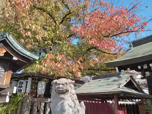 阿部野神社の狛犬