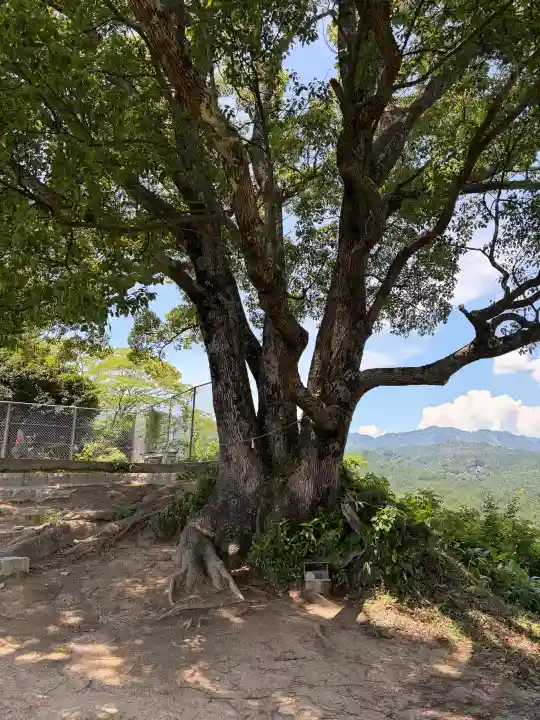サムハラ神社 奥の宮(岡山県)