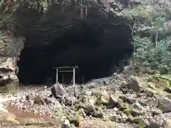 天岩戸神社の自然