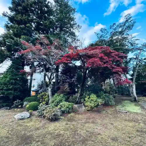 宝泉寺(埼玉県)