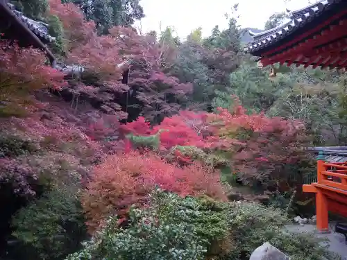 毘沙門堂門跡の庭園