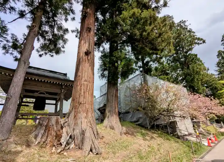 中尊寺(岩手県)