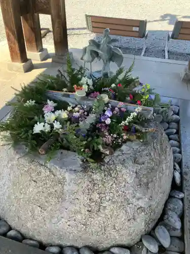 白鷺神社の{uncategorized: "未分類", other: "その他", undefined: "問題あり", building: "その他建物", grave: "お墓", sacred_gate: "鳥居", guardian: "狛犬", statue: "像", buddha: "仏像", history: "歴史", nature: "自然", garden: "庭園", animal: "動物", pagoda: "塔", temizu: "手水舎", mountain_gate: "山門・神門", sanctuary: "本殿・本堂", subordinate: "末社・摂社", art: "芸術", scenery: "景色", jizo: "地蔵", ema: "絵馬", goshuin: "御朱印", omikuji: "おみくじ", items: "授与品その他", amulet: "お守り", goshuincho: "御朱印帳", eats: "食事", festival: "お祭り", votive_dance: "神楽", shichigosan: "七五三参", wedding: "結婚式", experience: "体験その他", initially: "初詣", around: "周辺", anti_infection: "感染症対策"}