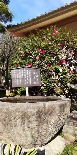 極楽寺（霊鷲山感應院極楽律寺）の手水舎