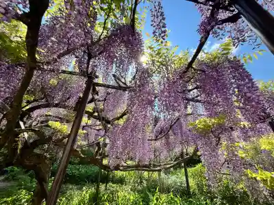 白毫寺熊野権現社(兵庫県)