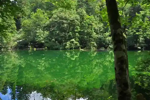 龍ヶ窪神社(新潟県)