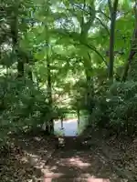 天神山神社(千葉県)