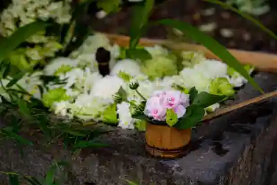 八幡宮(静岡県)