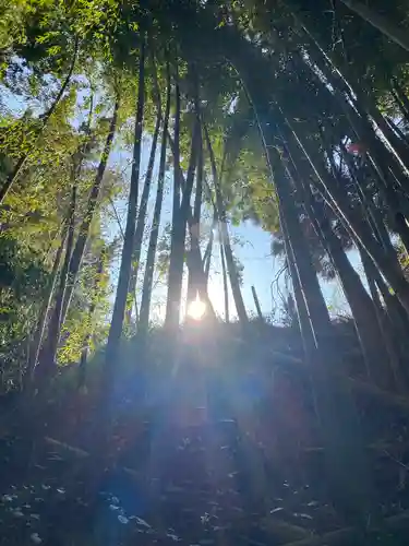 神龍八大龍王神社(熊本県)
