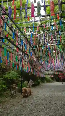 三井寺（平等寺）(福岡県)