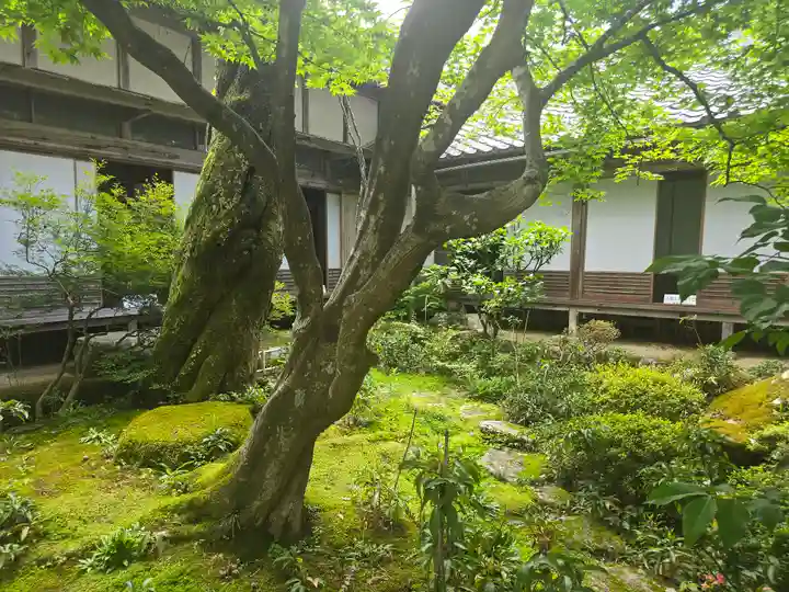 喜見院(滋賀県)