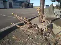 雨竜 専福寺(北海道)