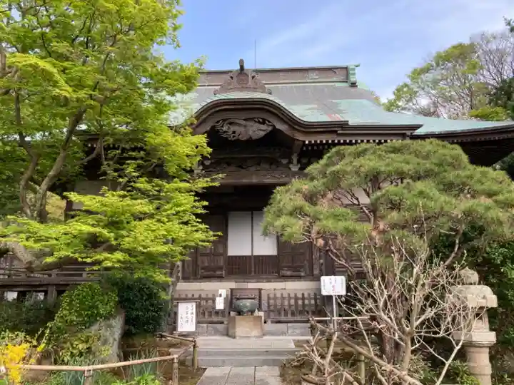 妙法寺の本殿・本堂