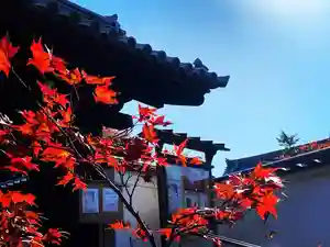 光明院(光明禅院)(京都府)(2025年11月15日(土) 13時52分41秒投稿)