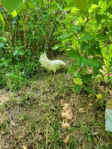 観音寺(京都府)
