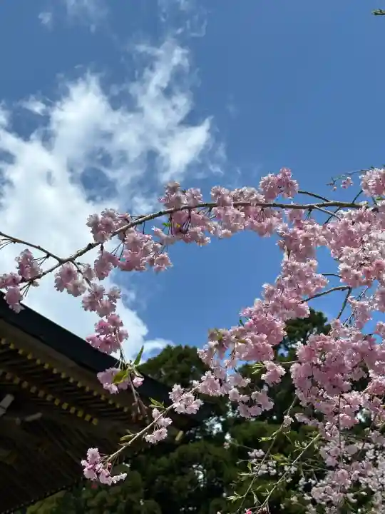 秋葉山本宮 秋葉神社 上社(静岡県)